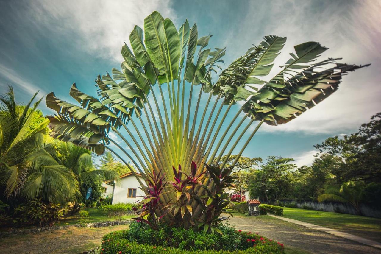 Hotel Santa Catalina Panama Dış mekan fotoğraf